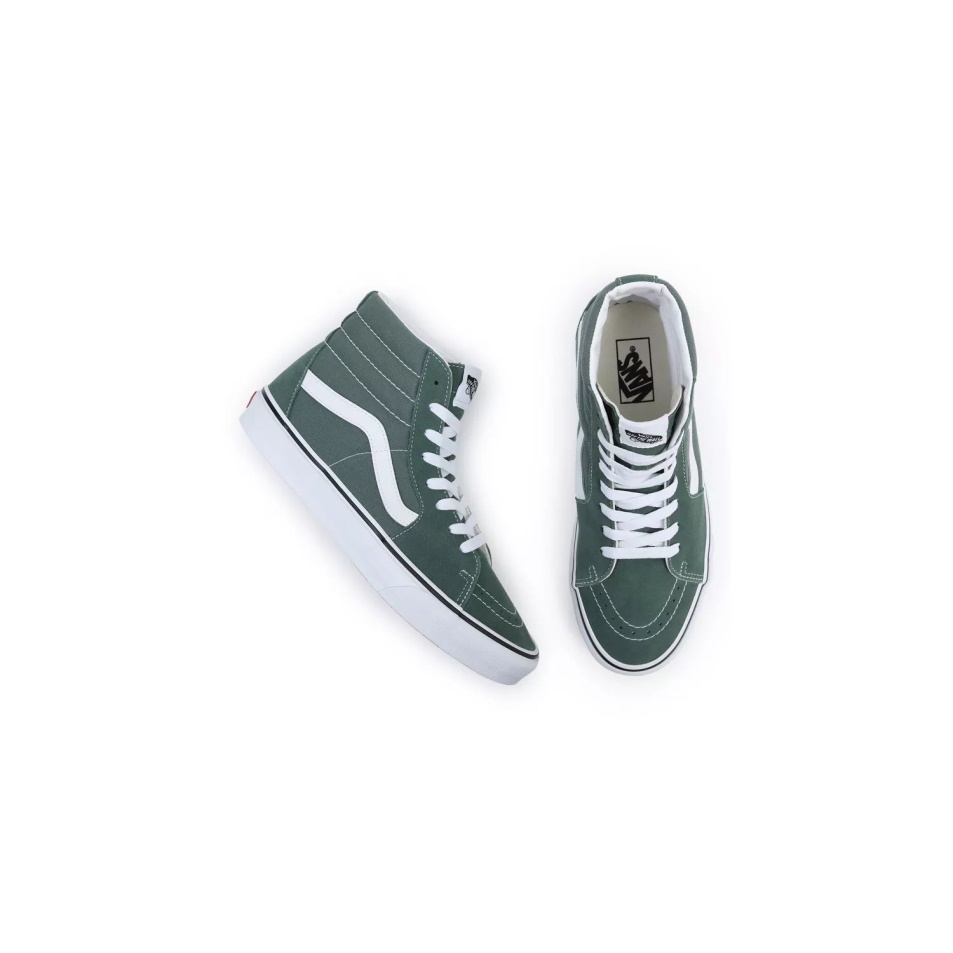 Furgonok Színelmélete Sk8-hi Cipő Zöld