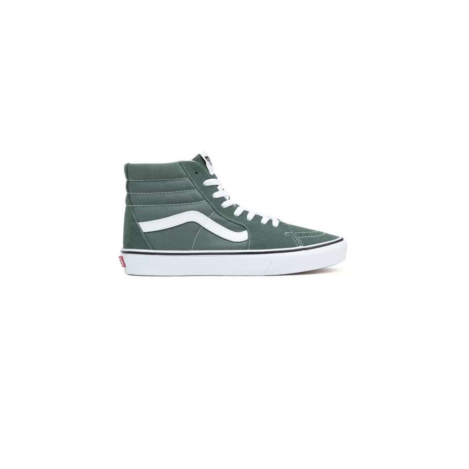 Furgonok Színelmélete Sk8-hi Cipő Zöld