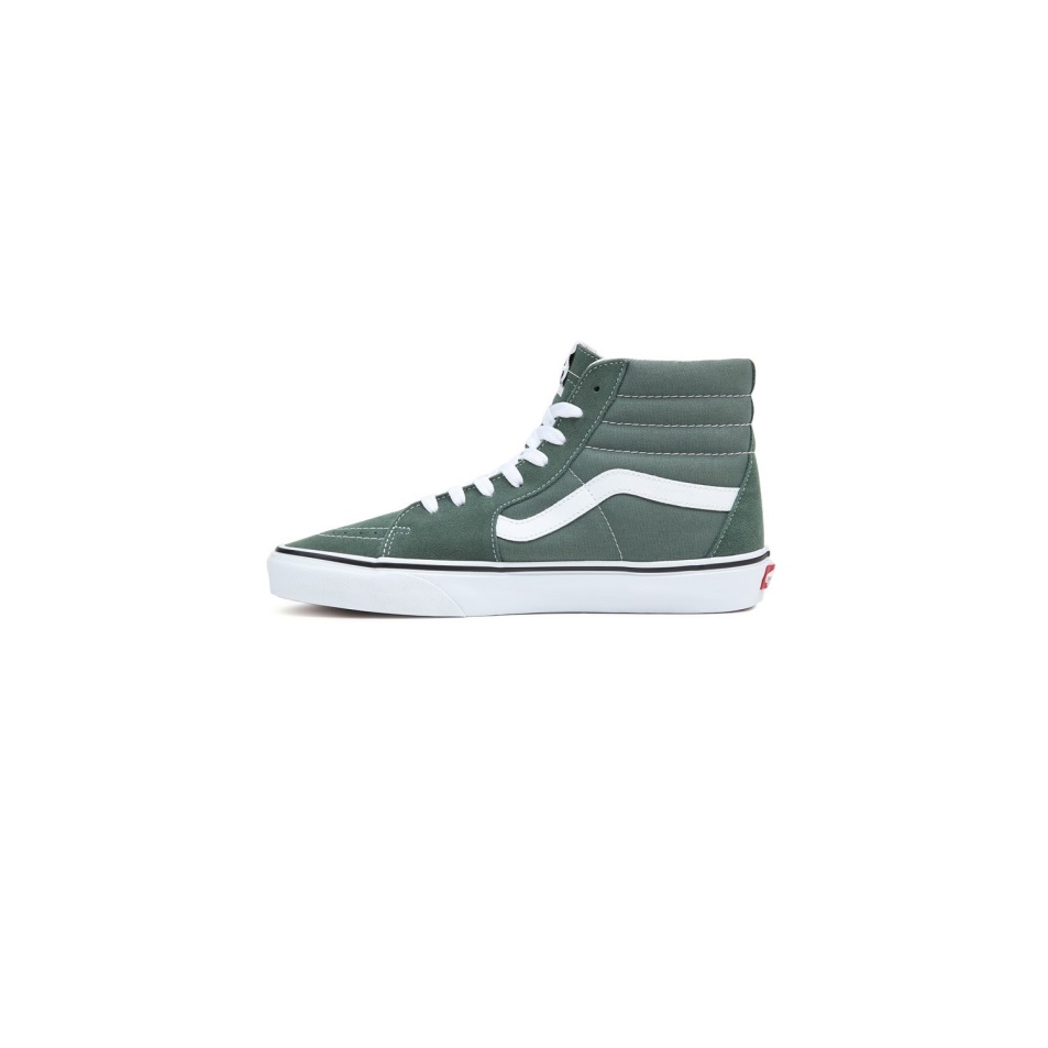 Furgonok Színelmélete Sk8-hi Cipő Zöld