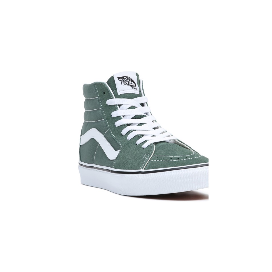 Furgonok Színelmélete Sk8-hi Cipő Zöld