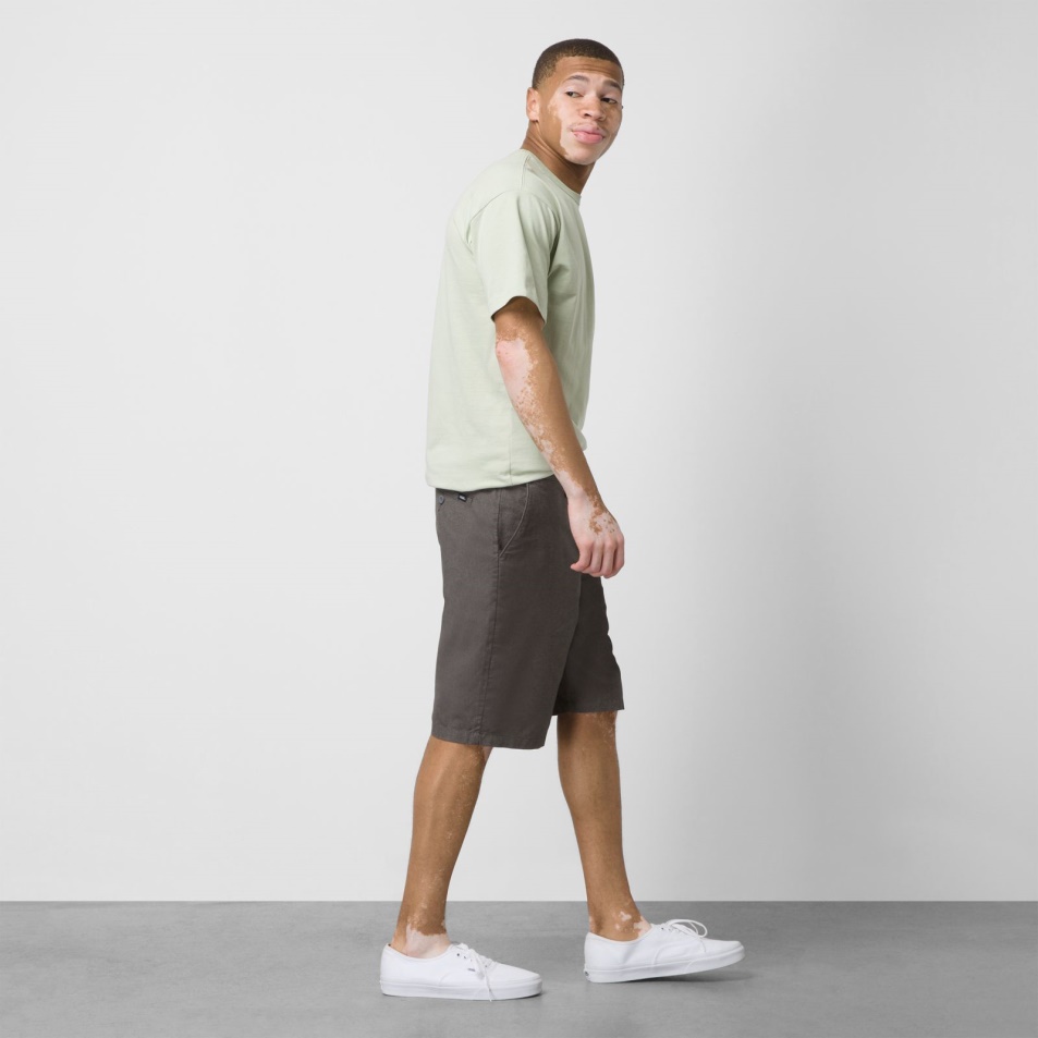Vans Dewitt 22
