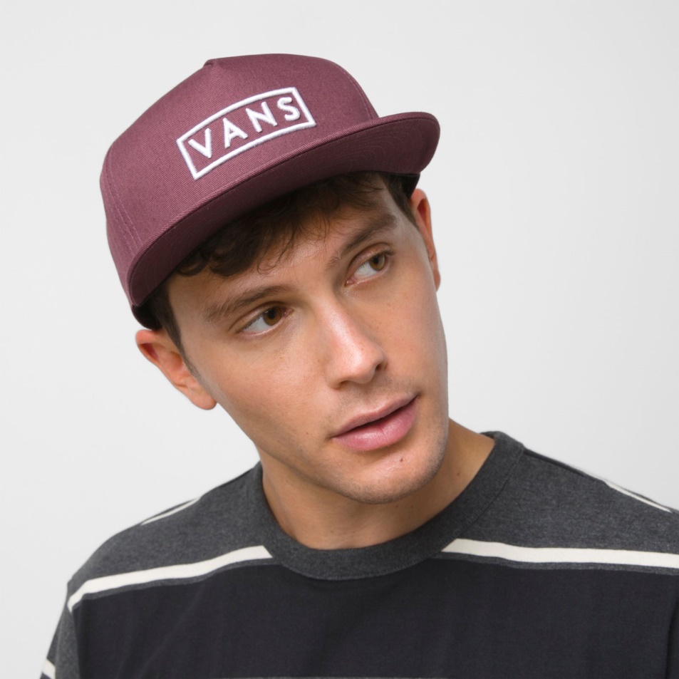 Furgonok Easy Box Snapback Sapka Catawba Grape