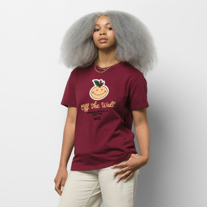 Vans Anaheim és Bff Tee Tawny Port