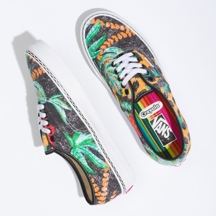 Vans Crayola Autentikus Van Doren Ihlette