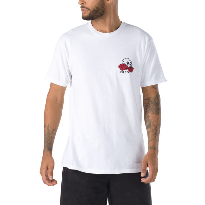 Vans Rózsa ágy Póló Fehér