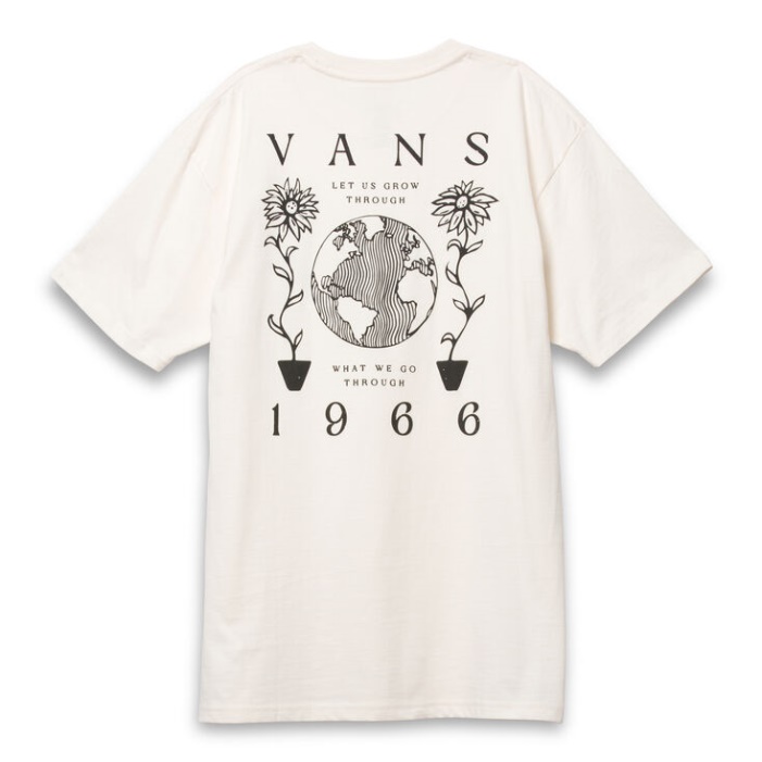 Vans Surf öko Póló Natúr