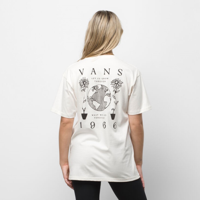 Vans Surf öko Póló Natúr