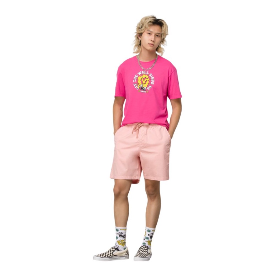 Vans Férfi Sorozat 18 Hüvelykes Walkshorts Khaki