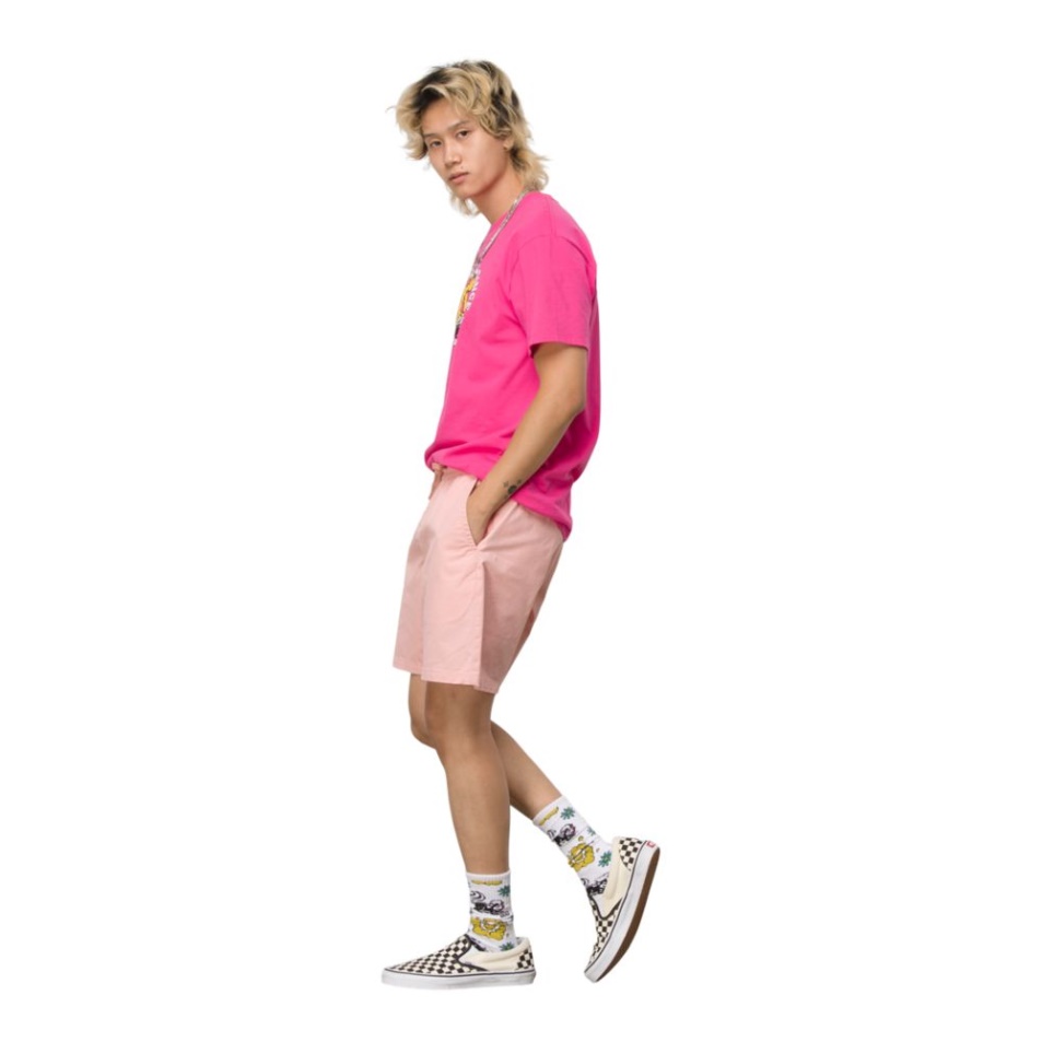 Vans Férfi Sorozat 18 Hüvelykes Walkshorts Khaki